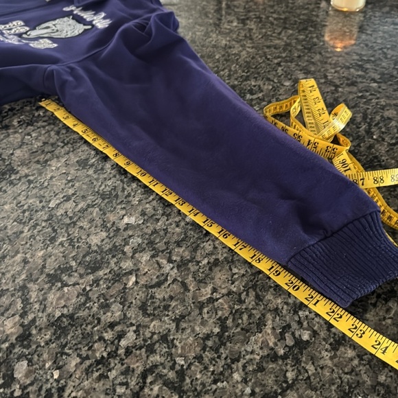 Purple Pelle Pelle Jacket with Embroidered Design EUC 3XL - Picture 16 of 16